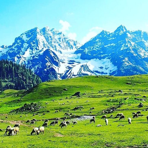 kashmir des